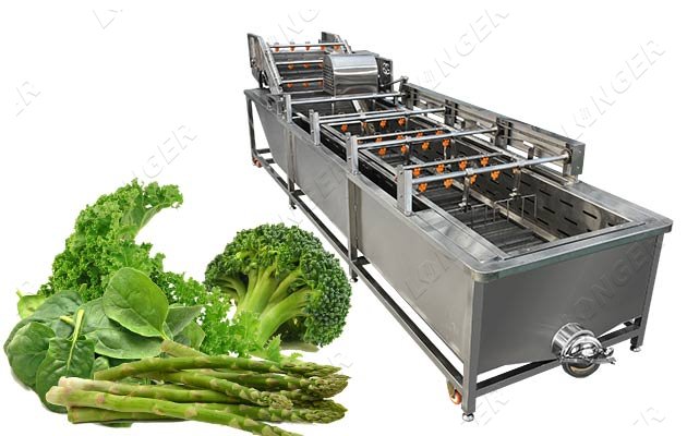 Air Bubble Vegetable Washing MachineCommercial Leaf Vegetables Cleaning  Equipment