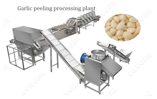 Garlic Peeler Machine - Packing Machine Manufactures