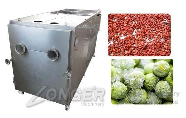 Vacuum Vegetable Freeze Dryer Machine