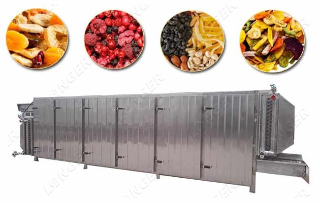 Vegetables and Fruits Dehydration Machines