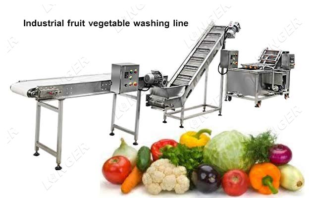 Fruit and Vegetable Washer Machine, Vegetable Washing Machine