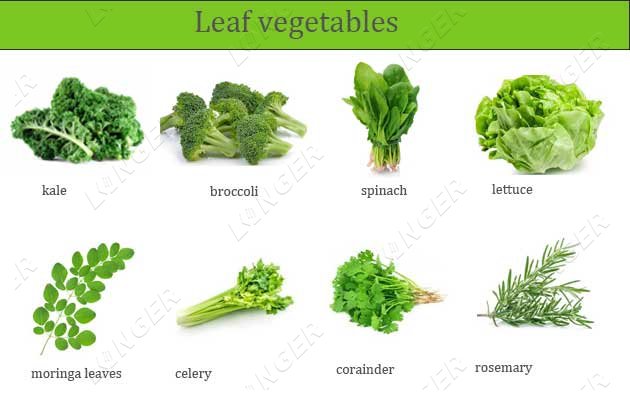 304 Stainless Steel Vegetable Washer Industrial Leafy Vegetables